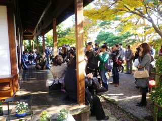 たくさんの方が一茶双樹記念館を訪れました