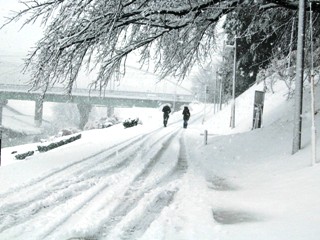 利根運河の雪景色