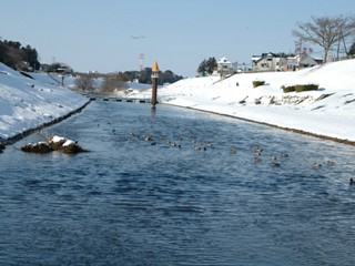 利根運河の雪化粧