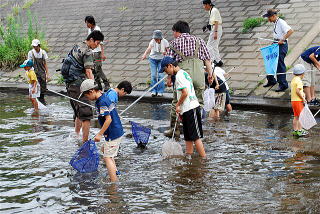 網を持って川に入り