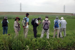 新川耕地で野鳥観察