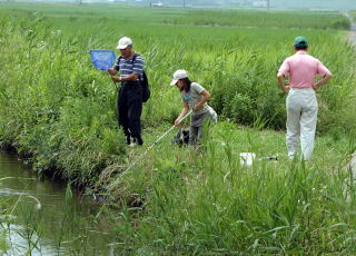 水生生物も観察