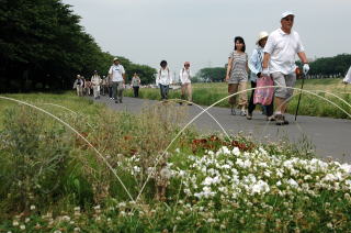 草花の咲く堤の上を