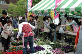 花の販売が人気に