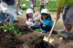 子どもたちが植樹