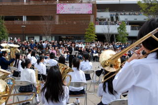 八木北小学校