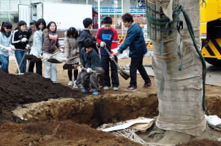 根元に土入れ