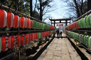 提灯で飾られた参道