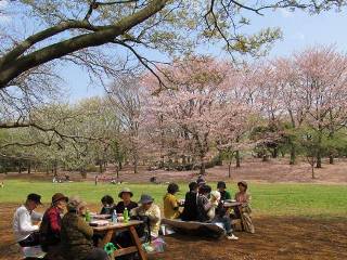 30人の方が参加