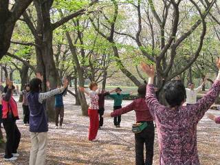 公園内でも目立つ存在に