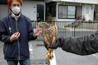 治療をした三枝さん