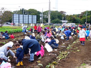 250人が参加