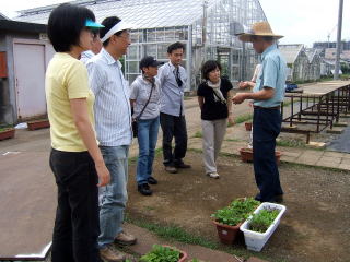 プランターで野菜作りを学ぶ