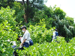 急な斜面で作業する生徒たち