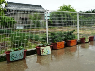 手づくりの看板