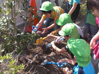 苗に土をかける子どもたち