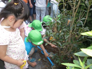 キンモクセイを植樹する子どもたち