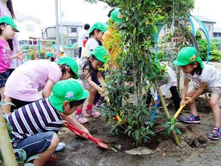 苗に土をかける子どもたち