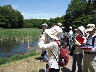 絶好の観察会日和