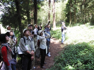 市内の野鳥を観察