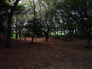 図書館に隣接する古墳の森