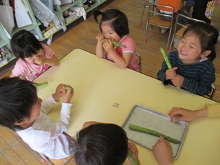 アスパラを観察する子どもたち