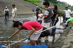 大堀川で生き物探し