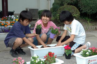 人権の花を植栽