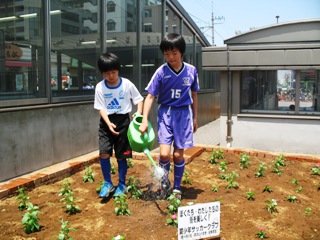 ぐるっと流山 流山翼少年サッカークラブ 流山市 ぐるっと流山 流山翼少年サッカークラブ 流山市