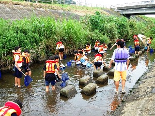 水質・生物調査