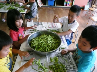 枝豆をもぐ子どもたち