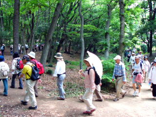 東深井古墳の森を通り