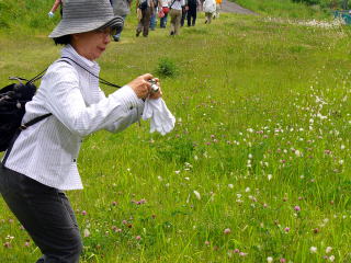 珍しい野草をカメラに収めながら