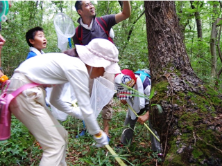 お目当ての虫とリを開始