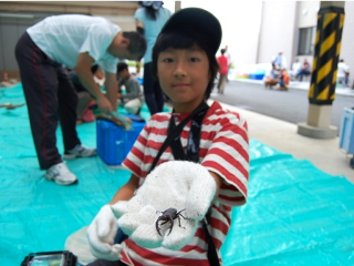 カブトムシやクワガタムシも多くとれました