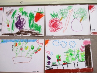 野菜の成長を描いた子どもたちの絵