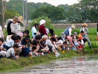 一斉に放流