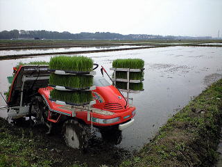 田植え機に苗を載せて