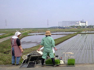 あちらこちらで田植えの風景