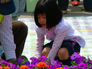 一つずつ花を置いていきます