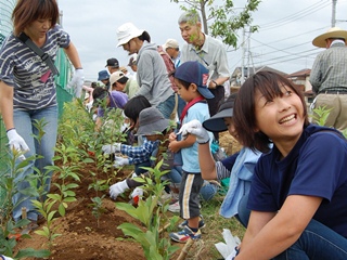 苗木を植樹