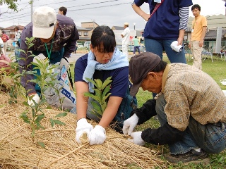 166本を植樹