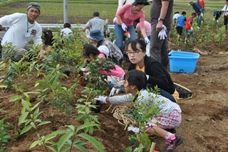 一生懸命植樹をする親子