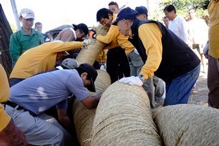 重い重いしめ縄