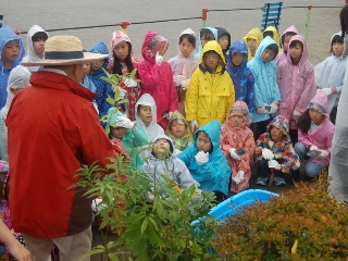 鰭ケ崎小学校で植樹