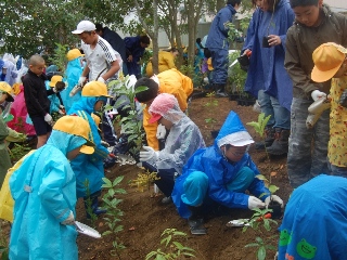 雨が降るなかでの作業