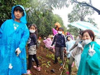 悪天候の中植樹