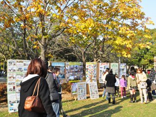 流山・野田の約300人の団員が一緒に活動しました