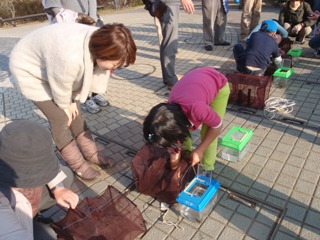 生きもの観察会