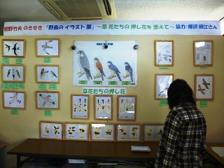 紺野竹夫のきせき　野鳥のイラスト展　草花たちの押し花を添えて